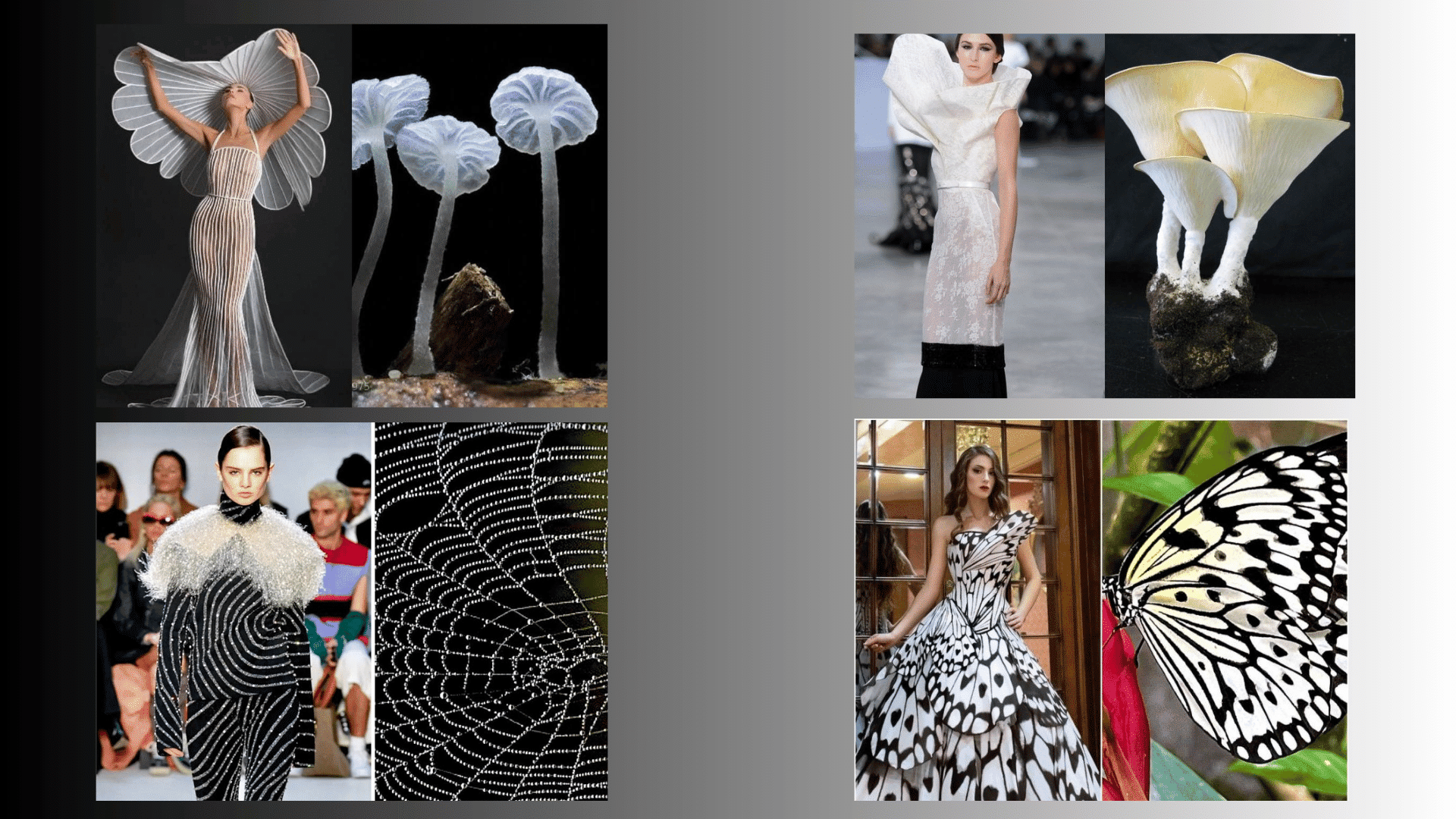 Nature Inspired Themes