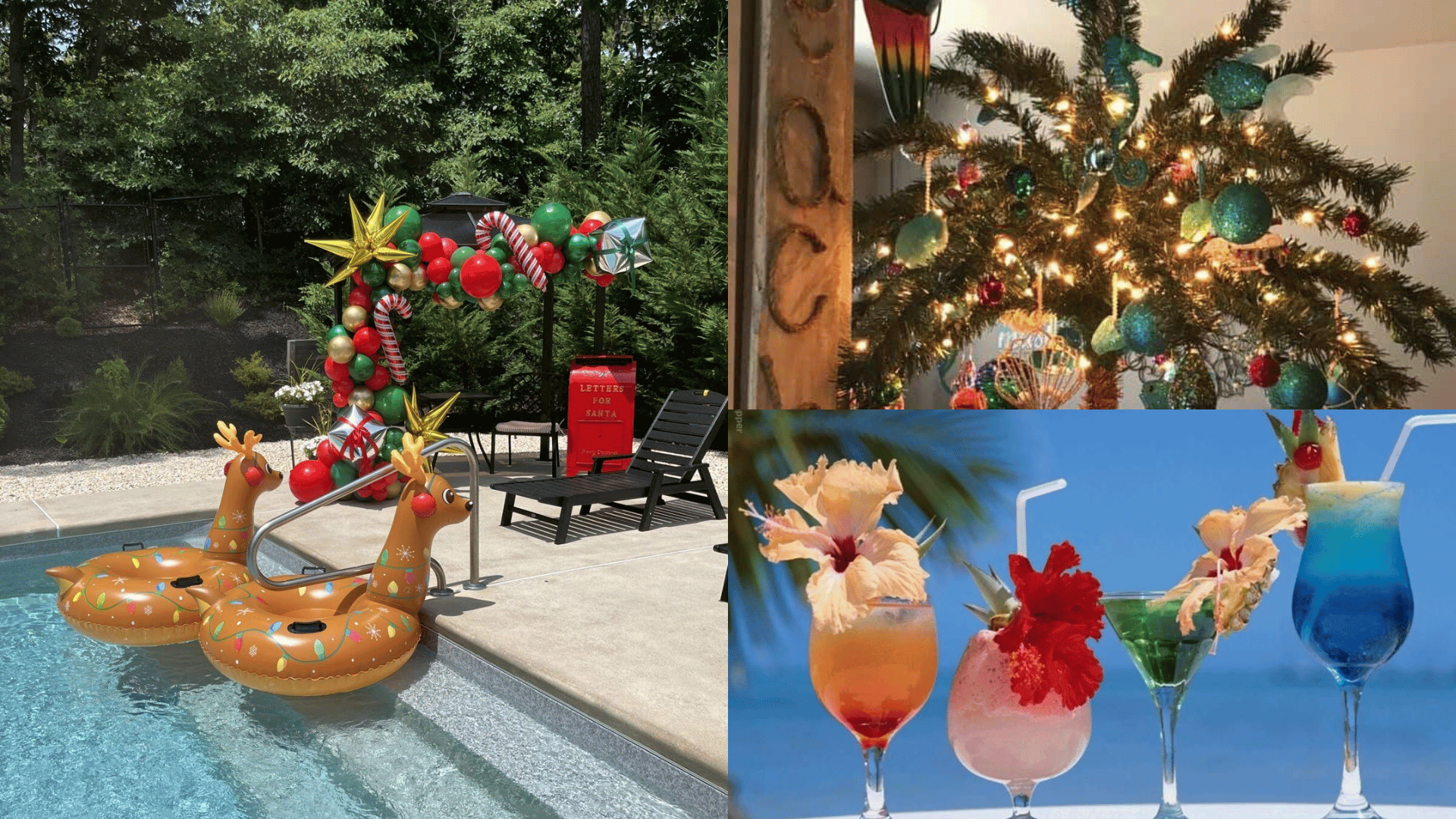 TropicalHawaiian Christmas
