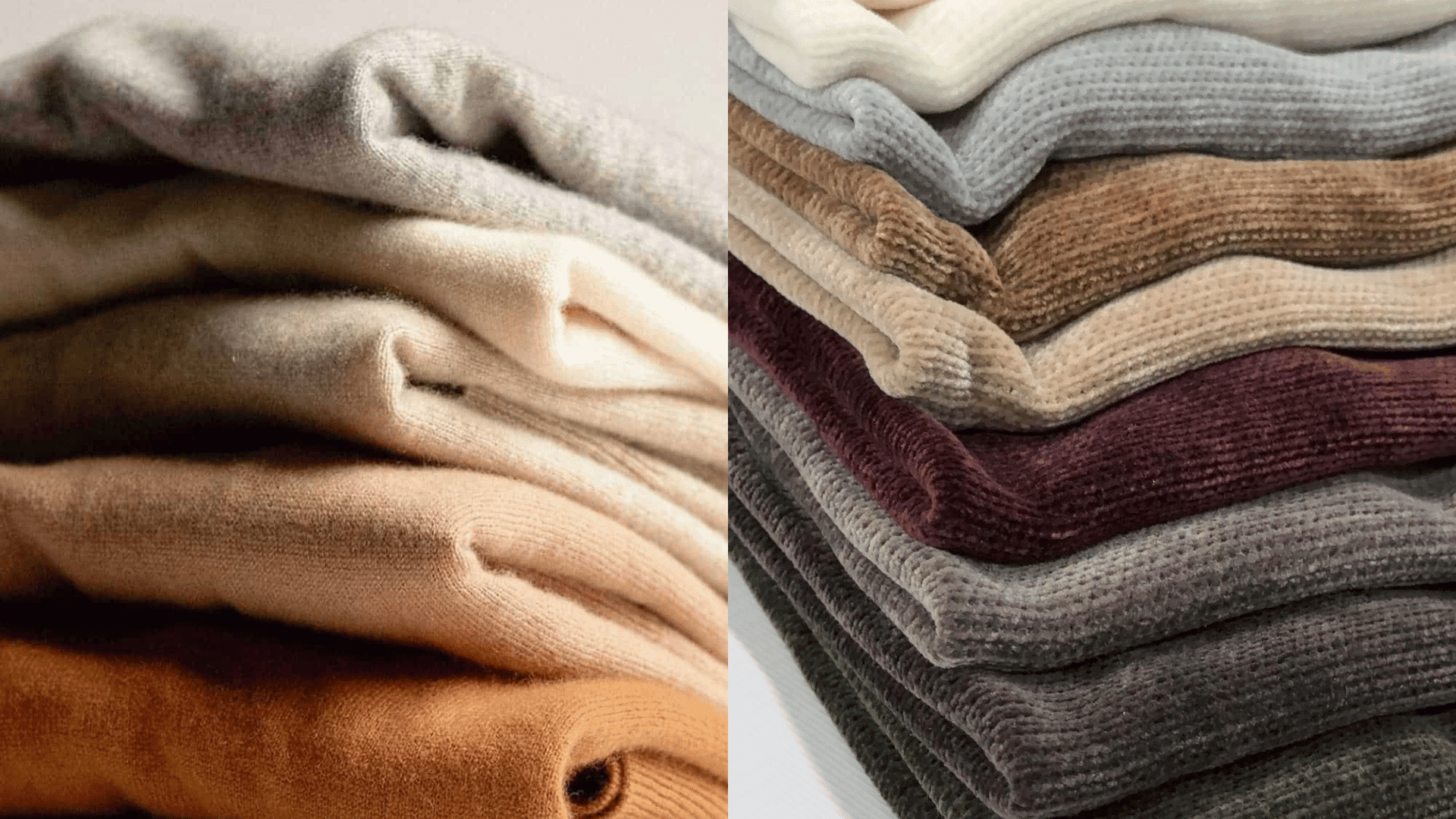 wool vs cashmere