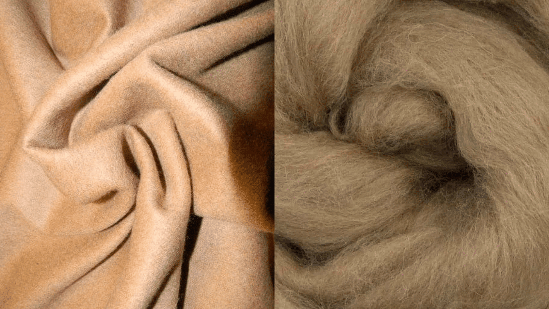 Camel Hair Wool