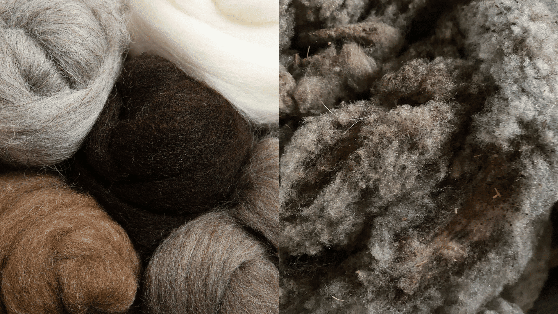 Woolen Wool