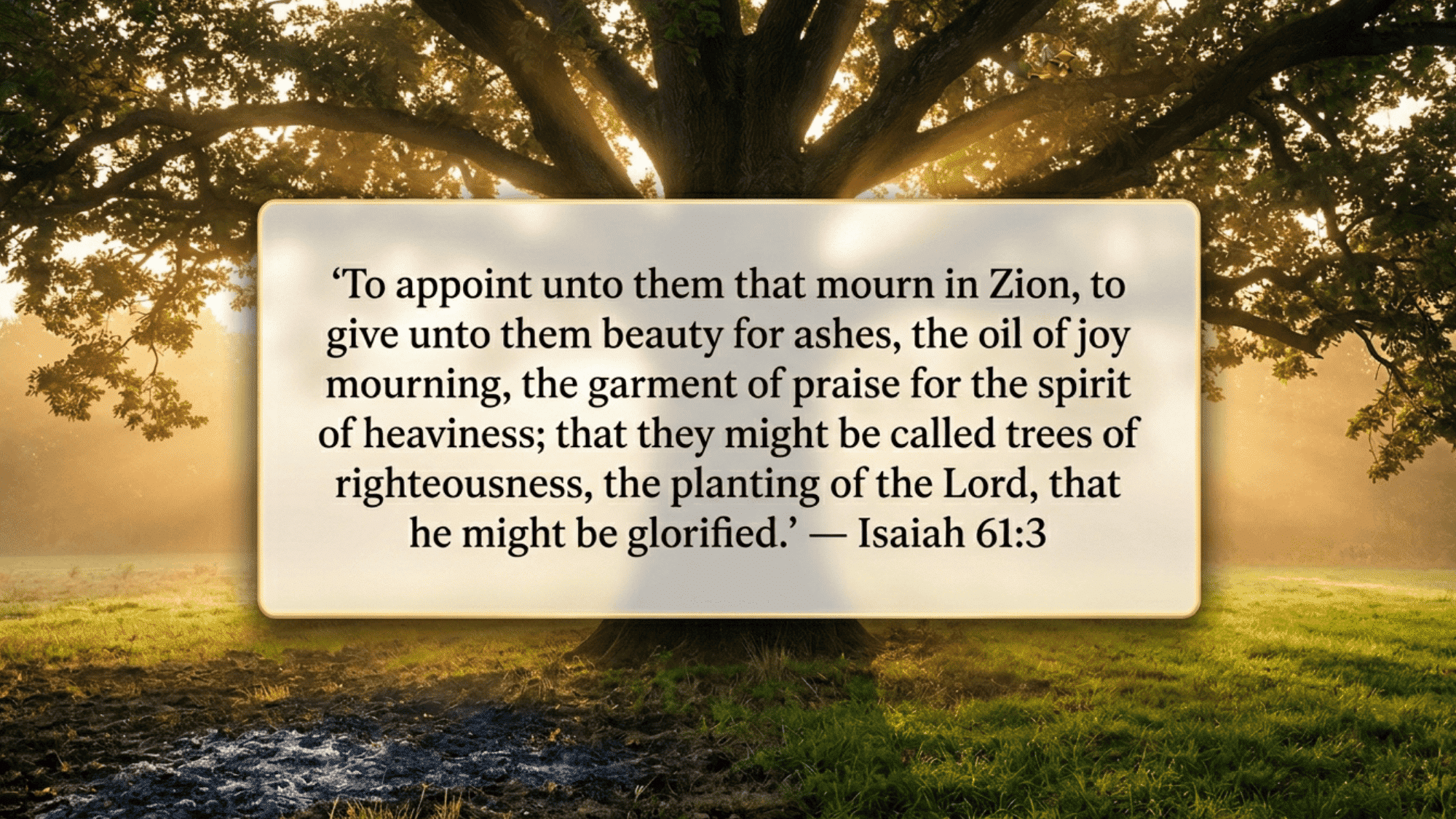 bible verse about beauty for ashes under sunlit oak tree with glowing rays
